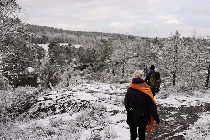1-Day Small-Group Stockholm Nature Hiking - Wildlife and Plant Life Lessons That Make the Hike Stick