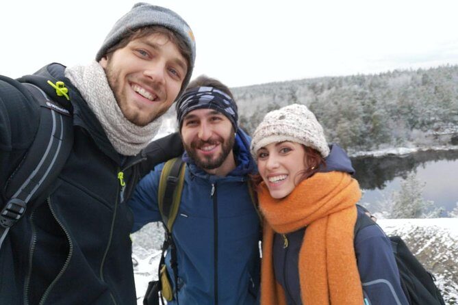 1-Day Small-Group Stockholm Nature Hiking - Winter Bonus: Frozen-Lake Walking and Beaver Checks
