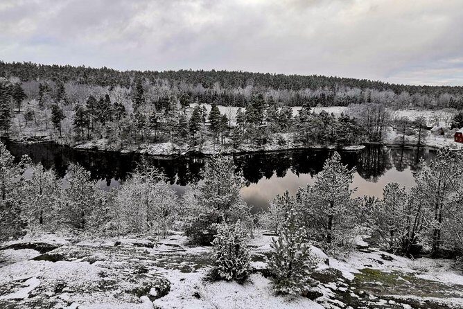 1-Day Small-Group Stockholm Nature Hiking - Meeting at True Nature Sweden AB: A Simple 9:00 AM Start