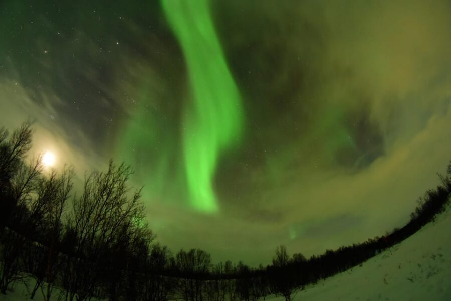 Abisko: Aurora Chasing with Snowmobiles - Aurora Chasing Starts in Abisko’s Dark-Sky Pocket