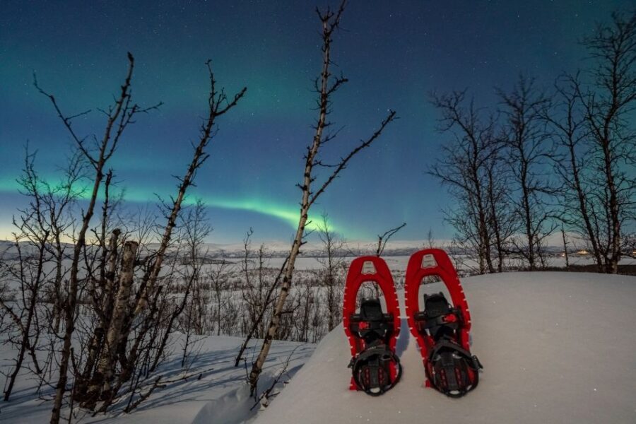 Abisko: Aurora Snowshoeing - Key moments that make this tour worth your time