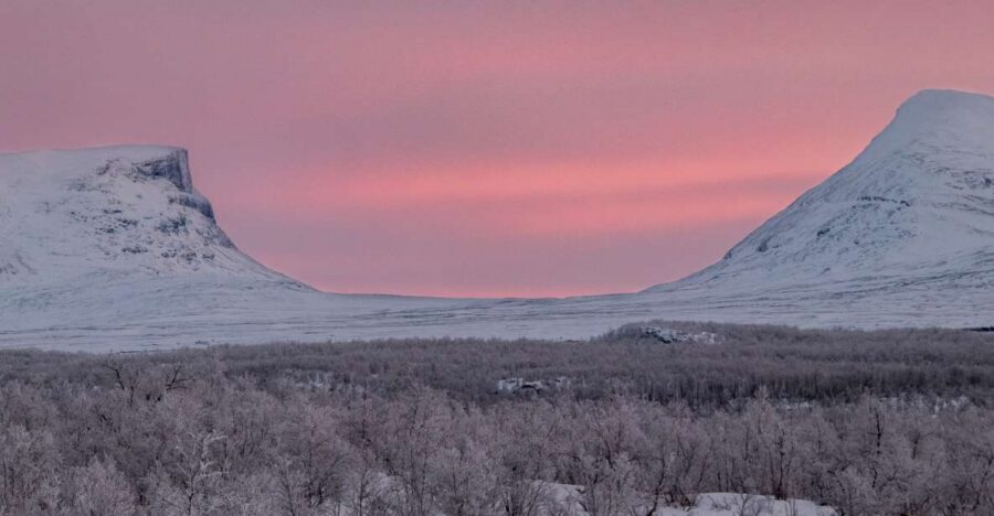 Abisko National Park: Scenic Morning Hike with Transfer - The guide makes the hike: pace, safety, and stories