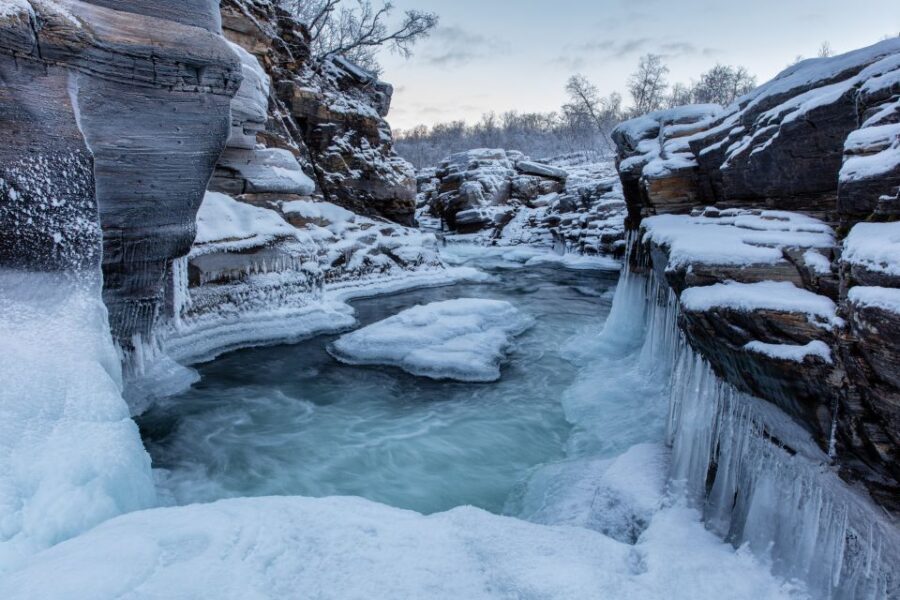 Abisko National Park: Scenic Morning Hike with Transfer - What to wear so the cold doesn’t steal your attention
