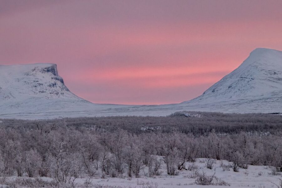 Abisko National Park: Scenic Morning Hike with Transfer - Price and value: does $88 make sense?