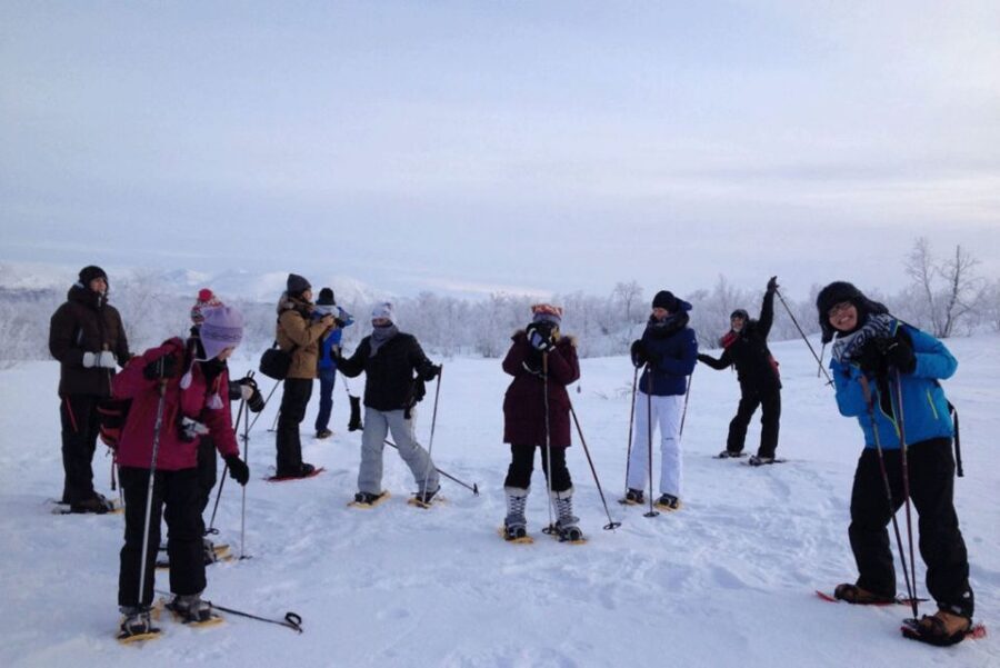 Abisko: Wilderness Snowshoe Hike - Why Abisko Snowshoeing Works So Well in Winter