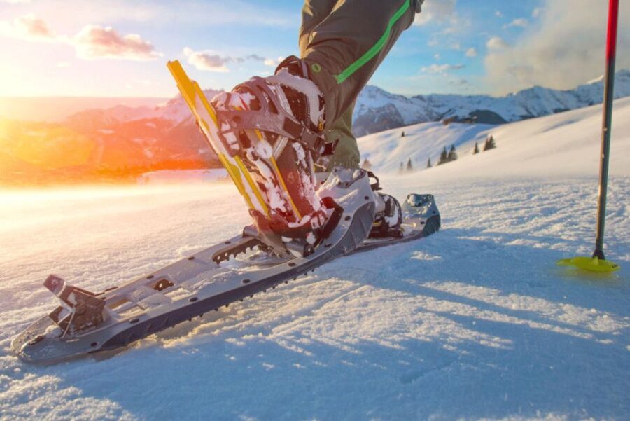 Abisko: Wilderness Snowshoe Hike - Snowshoes, Warm Clothes, and Hot Drinks: The Comfort Setup