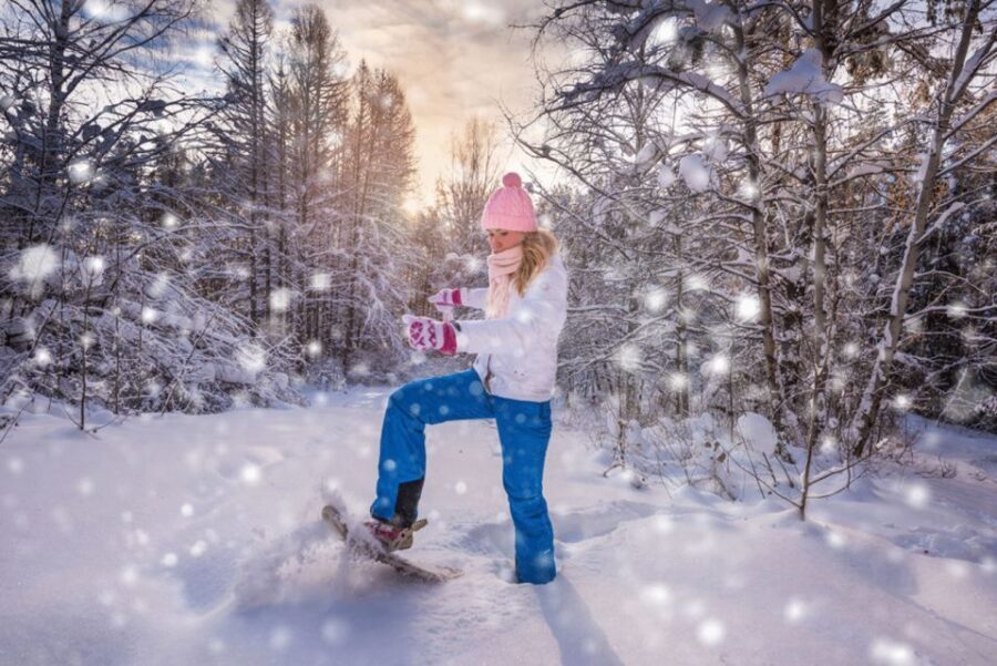 Abisko: Wilderness Snowshoe Hike - Your 14:00 to 16:00 Trail: What Happens on the Ground
