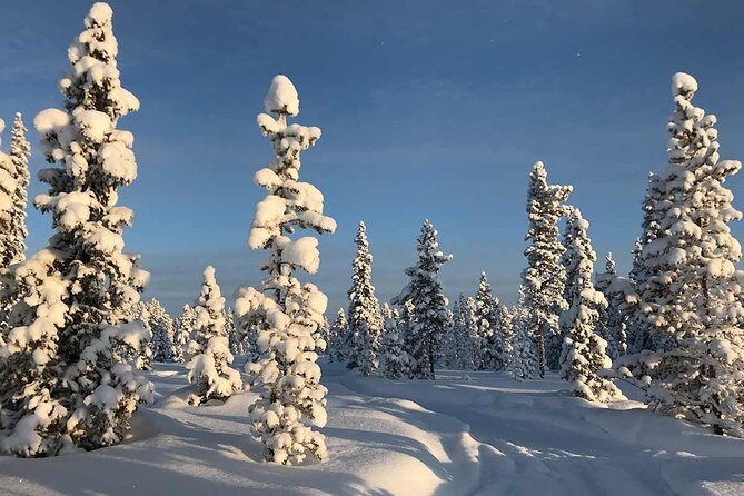 Afternoon Snowmobile Tour - Safety briefing and snowmobile basics before you head out