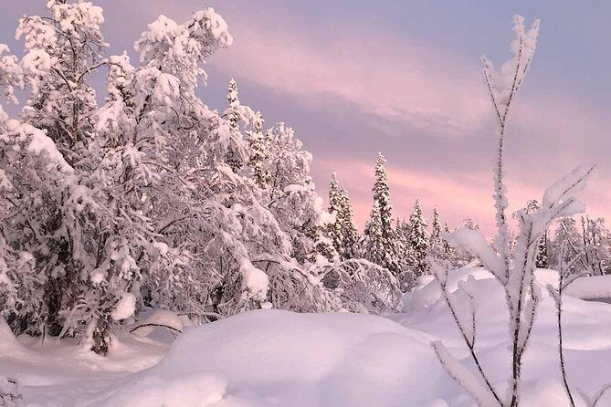 Afternoon Snowmobile Tour - Frozen Torne River riding: lakes, tracks, and steady pacing