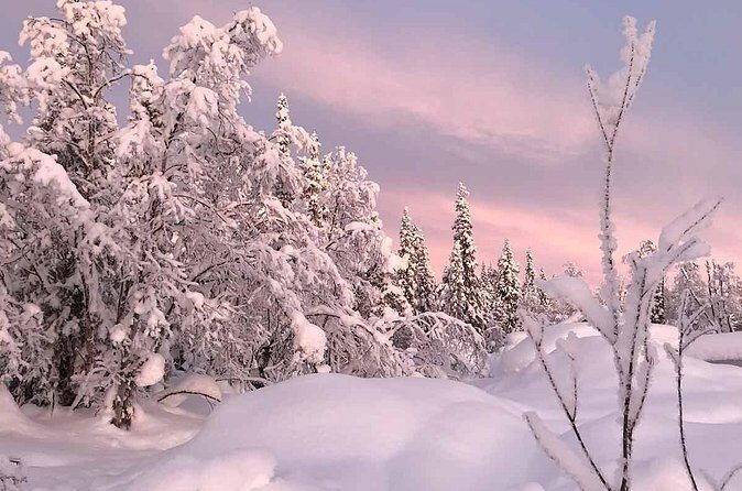 Afternoon Snowmobile Tour - Two riders per snowmobile: couples love it, odd numbers need a plan