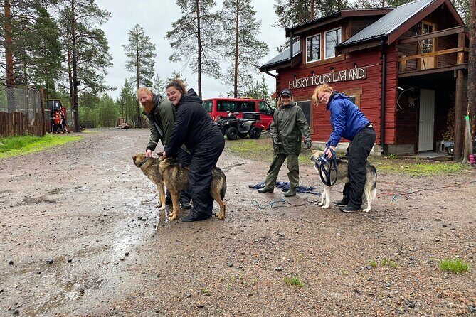 Autumn Husky Sit and Drive Cart Tour from Kiruna - Key things you’ll notice right away