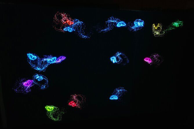 Cube of Art Uppsala Museum of Interactive Art - Who This Experience Is Best For (and Who Might Want Something Else)