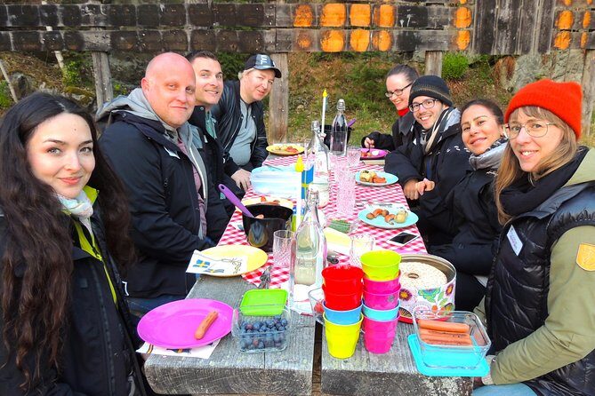 Evening Wildlife Safari from Stockholm - Why the Van Safari Format Improves Your Chances