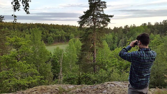 Evening Wildlife Safari Stockholm - Why this Stockholm evening safari is more than a bus ride