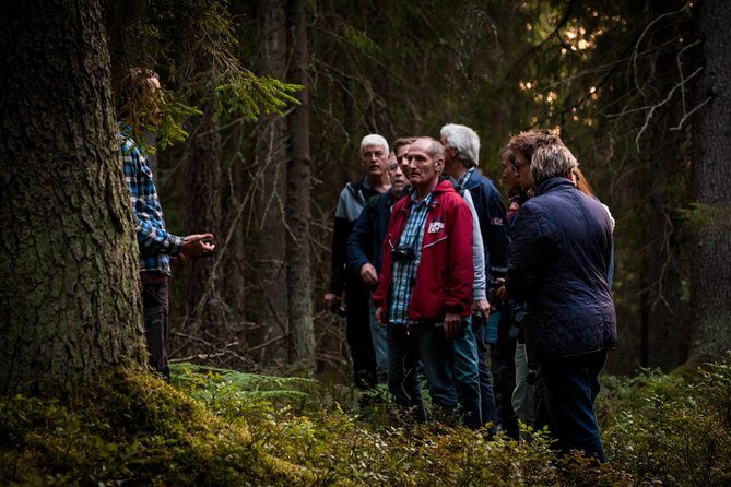 Evening Wildlife Safari Stockholm - Stop 2: Bornsjöns naturreservat open-fire dinner with sunset views