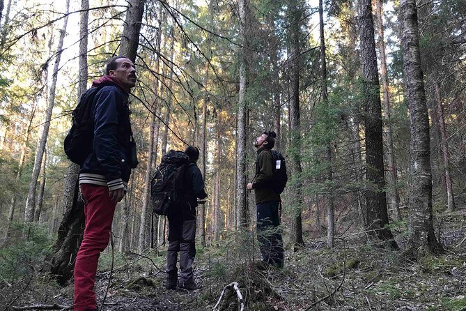 Evening Wildlife Safari with Campfire Dinner from Stockholm - Binoculars Included: How to Actually See More Than Shapes