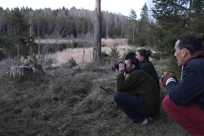 Evening Wildlife Safari with Campfire Dinner from Stockholm - Value for Money: Why $166.76 Can Make Sense Here