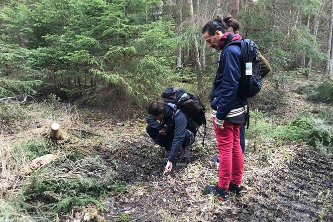 Evening Wildlife Safari with Campfire Dinner from Stockholm - Campfire Dinner: Comfort Food With Real Outdoor Proof