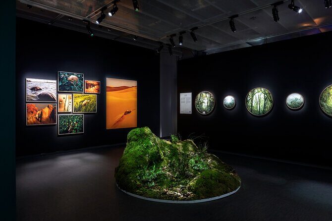 Fotografiska Stockholm Admission Ticket - Entering the Galleries: World-Class Photography Meets Modern Museum Flow