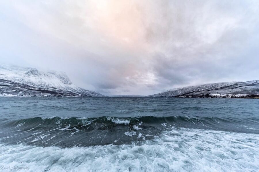 From Kiruna: Narvik City and Fjord Day Trip - Wildlife and weather: what you can hope for, and what you can control