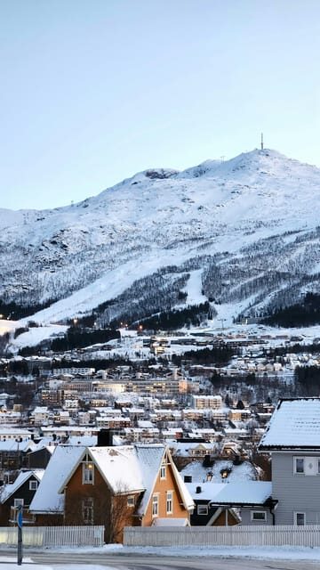From Kiruna: Narvik City and Fjord Day Trip - The drive south: Abisko edge and Lake Torneträsk photo stops