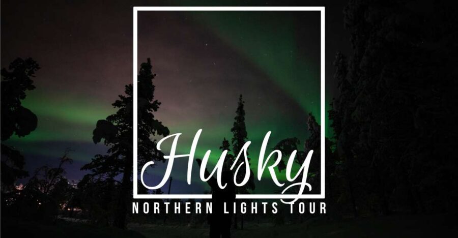 From Kiruna: Northern Lights Guided Husky Sledding Adventure - Key points to know before you go
