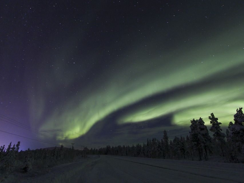 From Kiruna: Northern Lights Guided Husky Sledding Adventure - The guided husky sled ride: dark trails, frozen crossings, real speed control