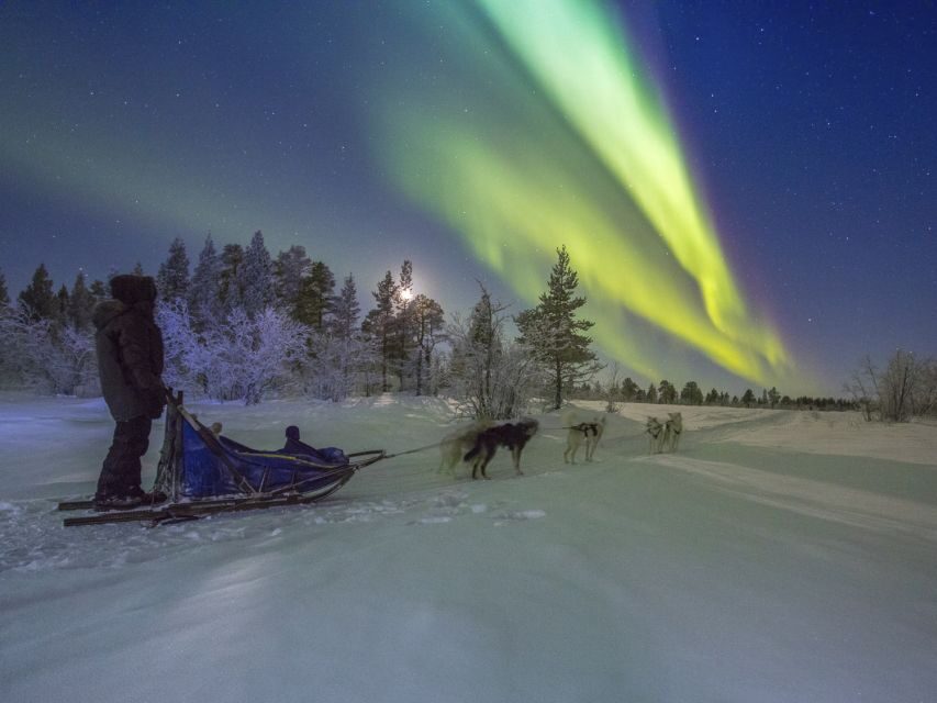 From Kiruna: Northern Lights Guided Husky Sledding Adventure - FAQ