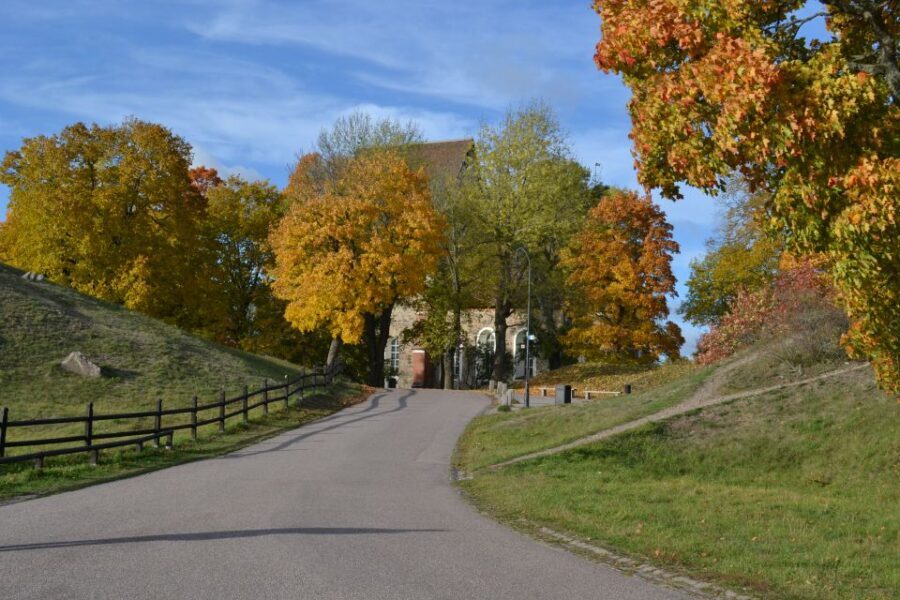From Stockholm: Uppsala and Sigtuna Viking Sites Tour - Who should book this tour (and who might want a different plan)