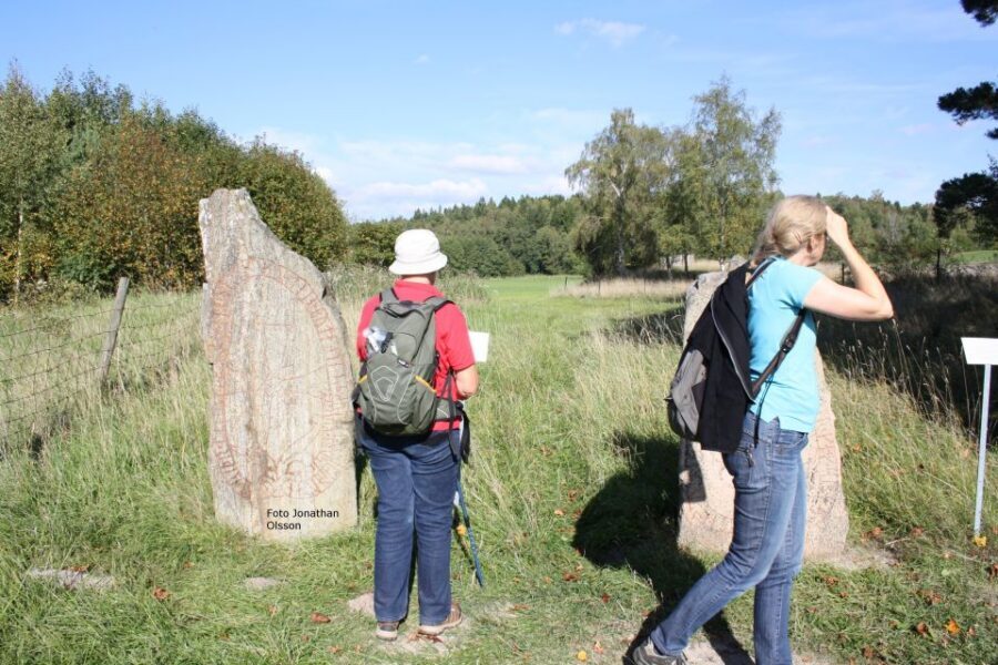 From Stockholm: Viking Culture and Heritage Small Group Tour - Price and value: what $138 buys you in real time