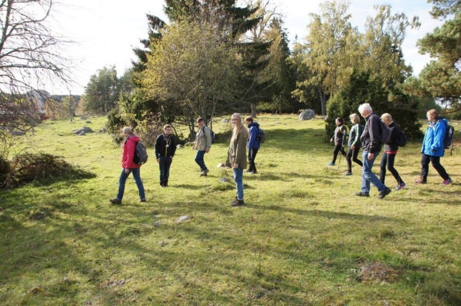 From Stockholm: Viking Culture Guided Tour with Transfer - Sigtuna: the oldest still-existing town in Sweden, in about 45 minutes