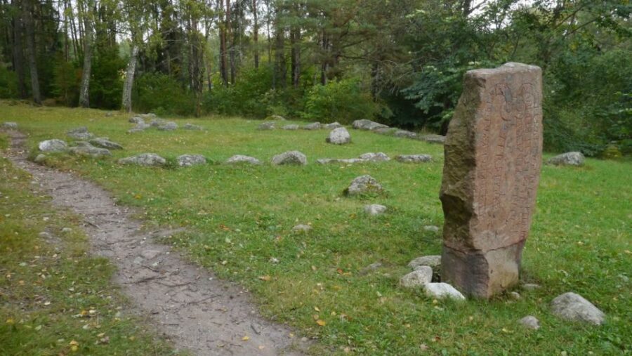 From Stockholm: Viking Culture Guided Tour with Transfer - Who this tour is best for (and who might prefer something else)