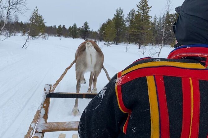 Full-Day Reindeer Tour with Pickup in Kiruna - A Real Sami Reindeer Day, Not a Quick Photo Stop