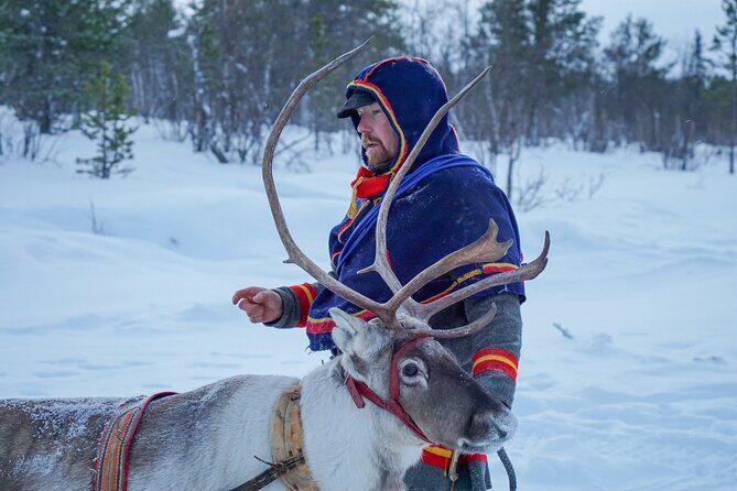 Full-Day Reindeer Tour with Pickup in Kiruna - Feeding the Reindeer: Cute, Calm, and Surprisingly Close