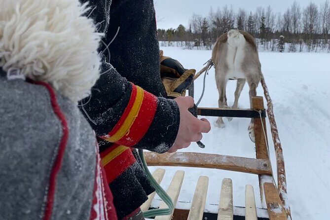 Full-Day Reindeer Tour with Pickup in Kiruna - Reindeer Sledding on a 1 km Track: Fun, but Know What You’re Booking