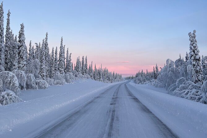Full-Day Reindeer Tour with Pickup in Kiruna - Winter Gear and Cold Limits: How the Tour Manages Weather