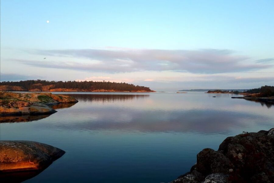 Full-Day Stockholm Archipelago Sailing Tour - Key things I’d clock before you book