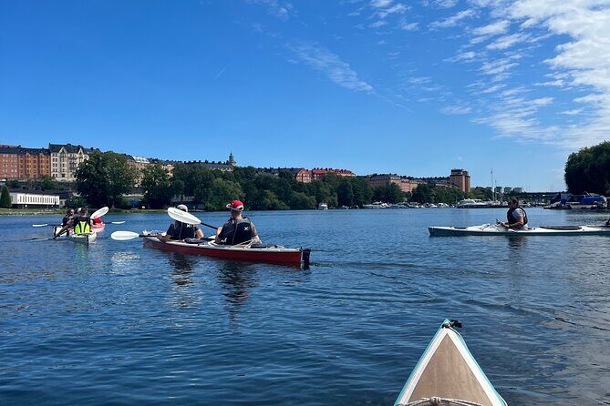 Guided Kayak Tour in Central Stockholm - Price and Value: Is $78.14 a Good Deal?