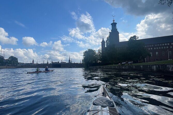Guided Kayak Tour in Central Stockholm - Weather Reality: Rain, Wind, and Still Having a Good Time