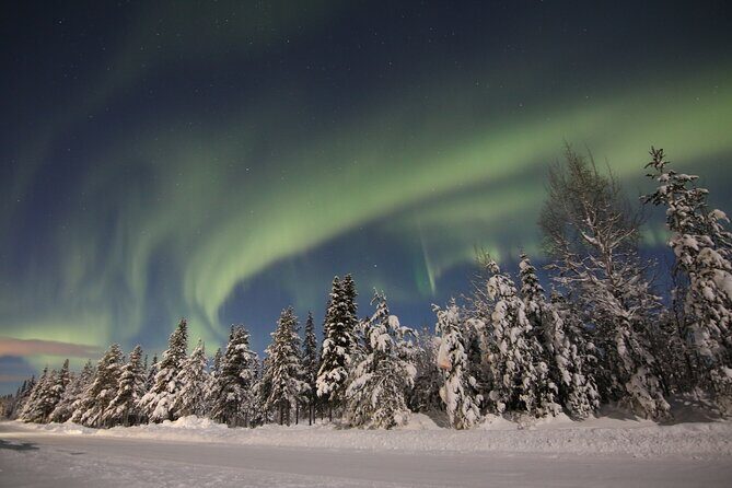 Guided Northern Lights Tour at Kiruna - More than the sky: included cultural and tourist site admission