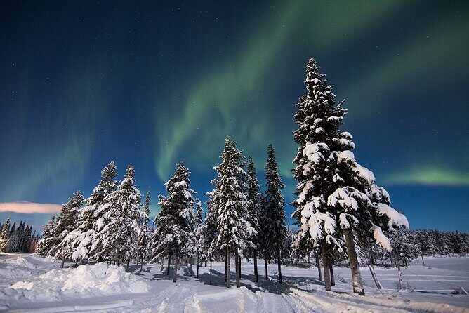 Guided Northern Lights Tour at Kiruna - Photo time plus aurora talk: what you should expect in the dark