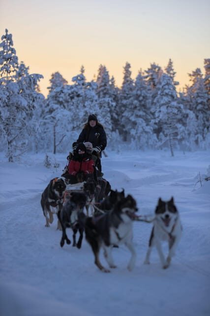 Kiruna: Morning Husky Sled Ride with Coffee Break - The halfway fika cabin stop: warmth with Swedish details