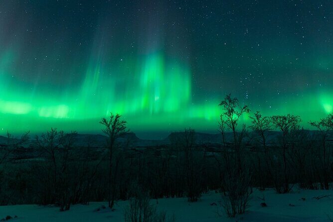 Kiruna Northern Lights Tour with Photographer - Warmth, Snacks, and the Fire Stop That Saves the Night