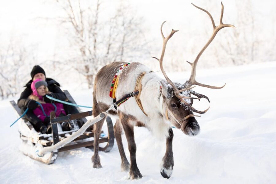 KIRUNA: Sami Reindeer Experience - Key things to know before you go