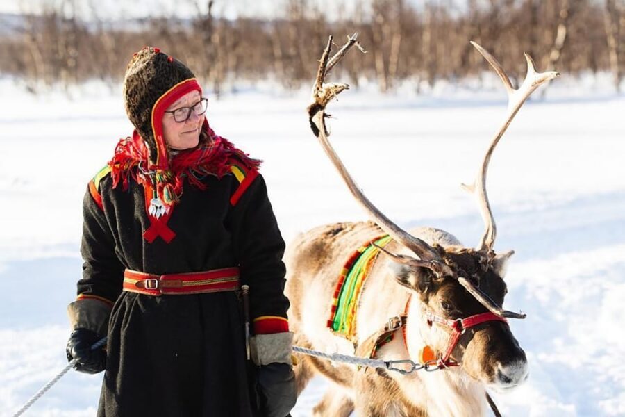 KIRUNA: Sami Reindeer Experience - Getting from Kiruna’s Tourist Office to the Rávttas Reindeer Farm