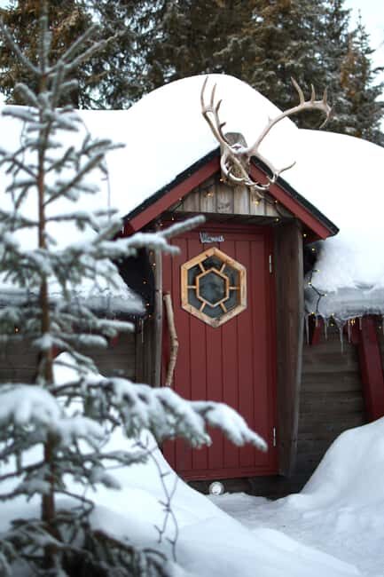 Luleå: Guided Dog Sledding Tour - Price and value: what $188 buys you in Swedish Lapland