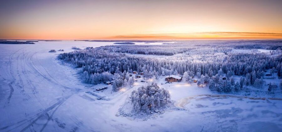 Luleå : Snowmobile - Forest and Ice Nature Tour 2h - Key highlights you’ll actually feel during this tour