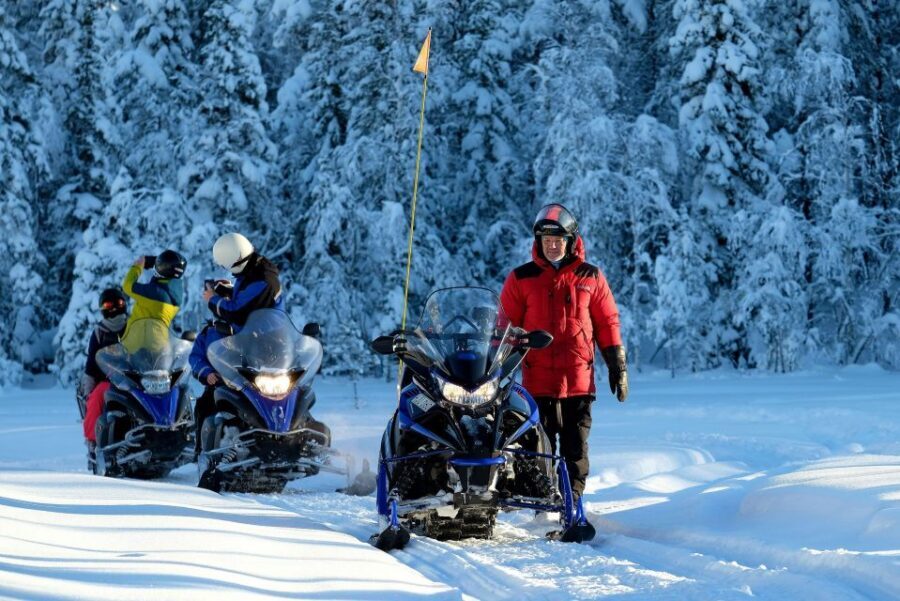 Luleå : Snowmobile - Forest and Ice Nature Tour 2h - Wildlife spotting and far-north life: how the guide makes it feel real