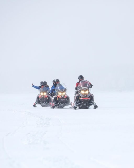 Luleå : Snowmobile - Forest and Ice Nature Tour 2h - Price and value: is $192 fair for what you get?