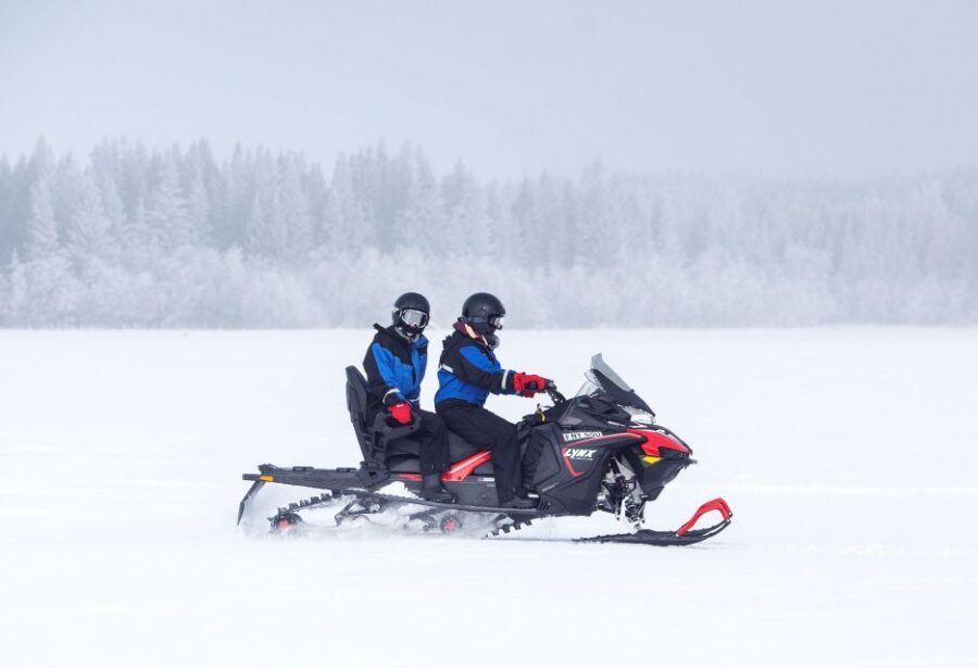 Luleå : Snowmobile - Forest and Ice Nature Tour 2h - Group size reality: when this tour feels perfect vs. when it may not